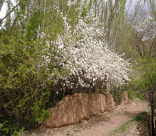 Iran, Abyaneh